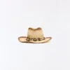Chapéu de cowboy ombré