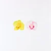 Conjunto de ganchos de cabelo com flores