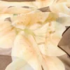 Lenço com estampado floral